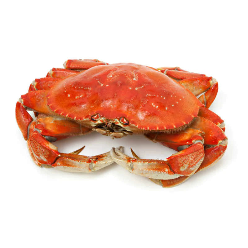 https://freshtodommot.com/cdn/shop/files/fresh-crab_800x_e0ee4b25-fcf0-403e-8486-dc4f03cdad55.webp?v=1682524293