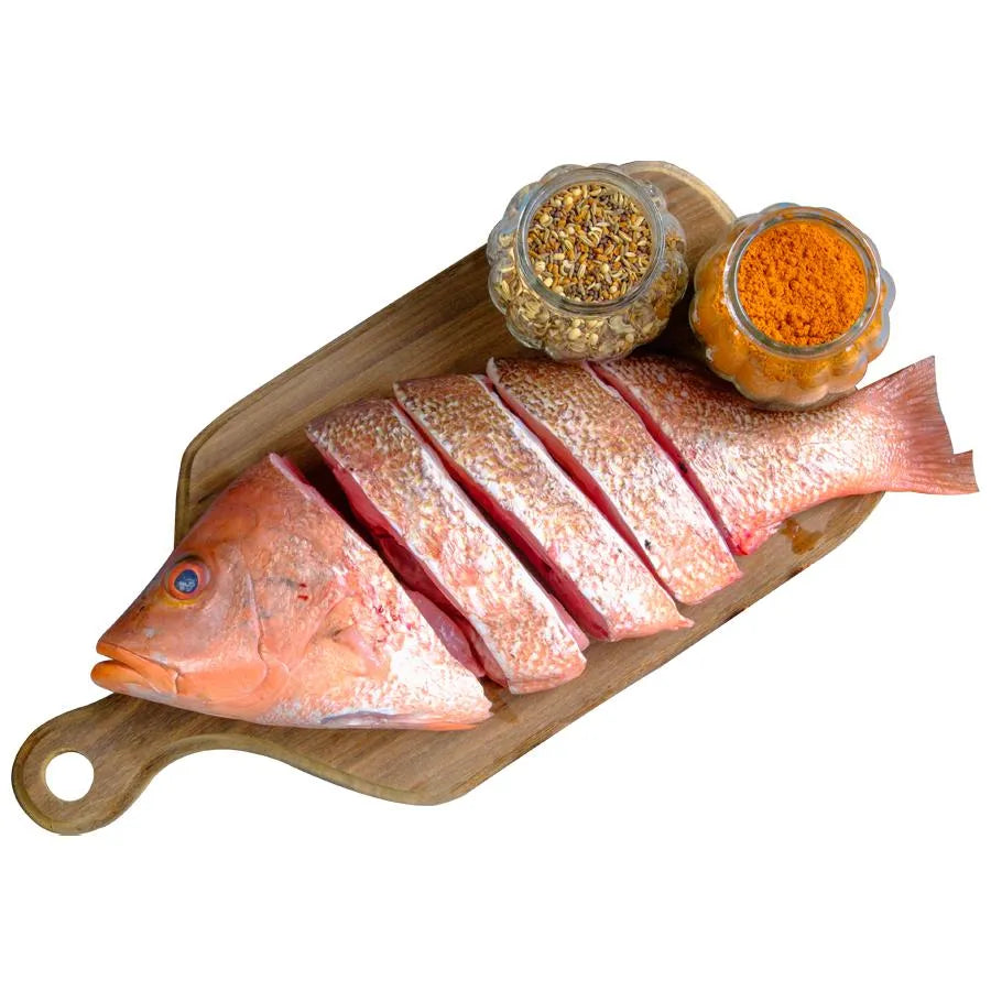 Snapper Fish appr. 3 - 5 medium sized slices - Fresh To Dommot