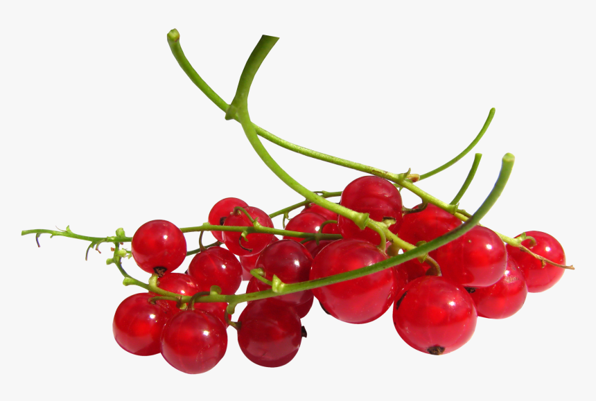 Red Currant Berries 125g - Fresh To Dommot