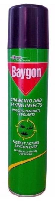Paragon Insecticide Baygon Insecticide 300 ml - Fresh To Dommot