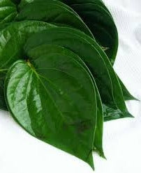 15 Powerful Medicinal Plants in Igboland and Their Traditional Healing Uses Nnewi City